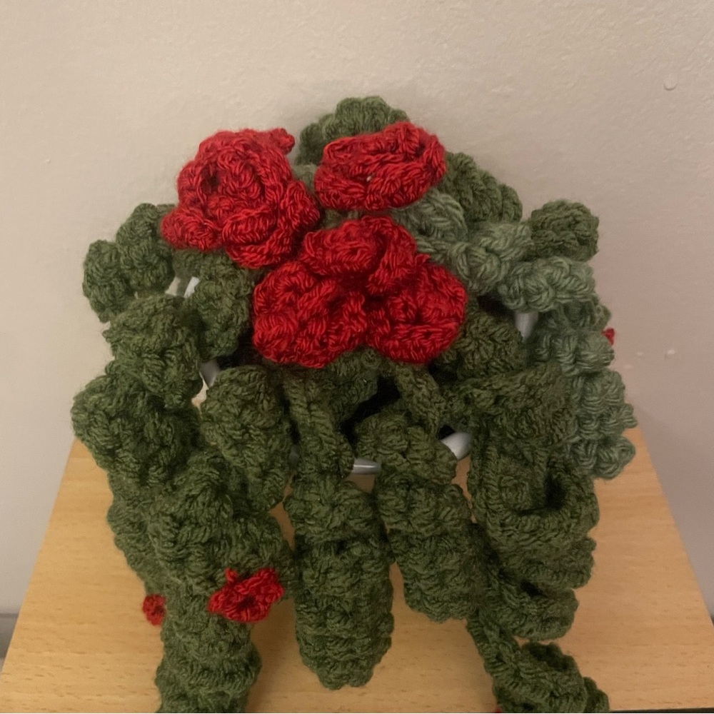 LD Yarn Creations Handmade Green & Red Crocheted Plant Décor – Approx 6” Tall - Picture 9 of 13